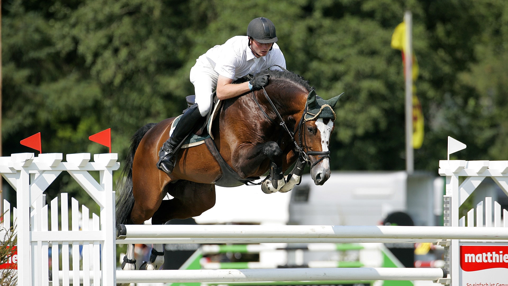 TOP-RANKED STALLIONS FOR THE SEASON AHEAD