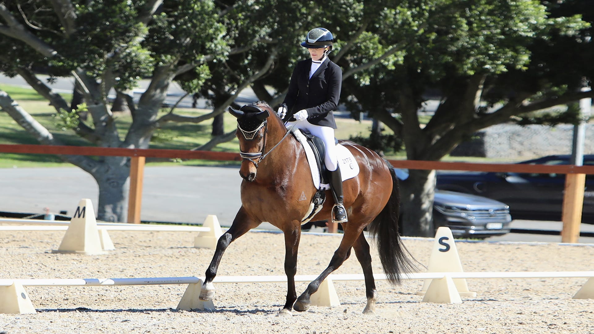 ALL CLASS & QUALITY AT NSW CHAMPIONSHIPS