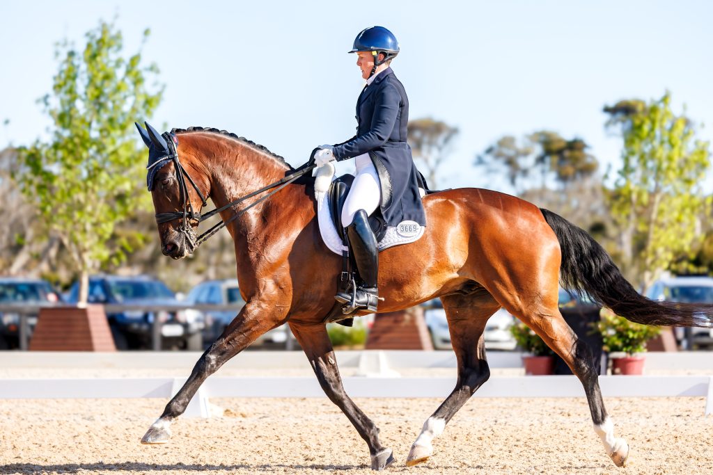 Sun sets on the 2026 Australian Dressage Championships - Equestrian Life